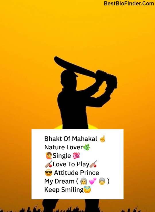 Instagram Bio For Boys Cricket Lover