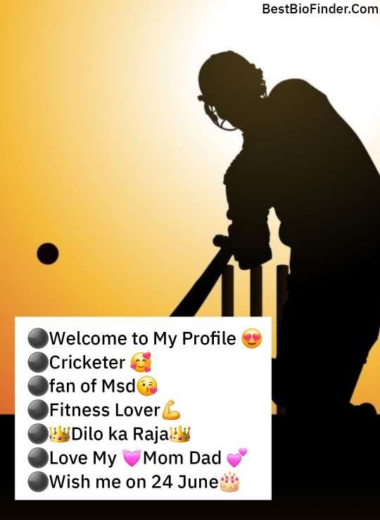 Cricket Lover Bio For Instagram