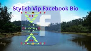 Stylish Vip Facebook Bio