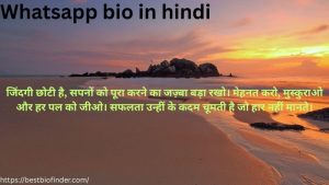 Whatsapp bio in hindi