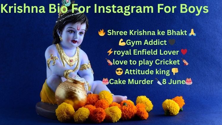 Krishna Bio For Instagram For Boys