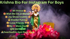 Krishna Bio For Instagram For Boys