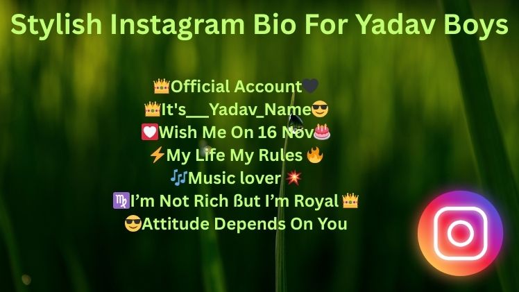 Stylish Instagram Bio For Yadav Boys