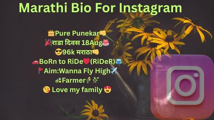 Marathi Bio For Instagram