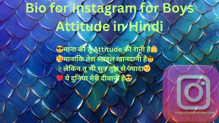 Bio for Instagram for Boys Attitude in Hindi