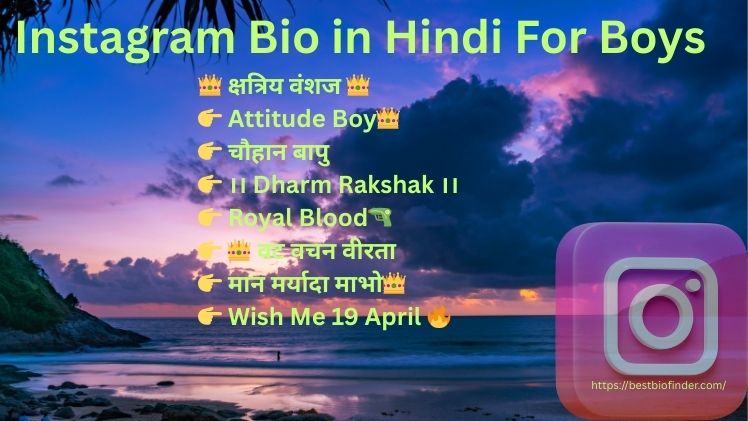 Instagram Bio in Hindi For Boys