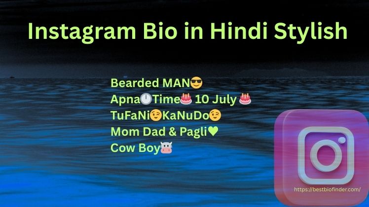 Instagram Bio in Hindi Stylish