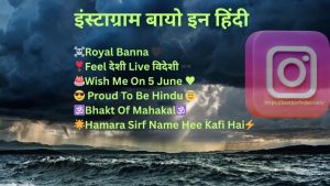 इंस्टाग्राम बायो इन हिंदी