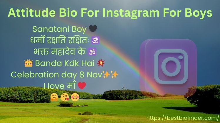 Attitude Bio For Instagram For Boys