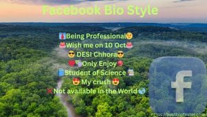 Facebook Bio Style