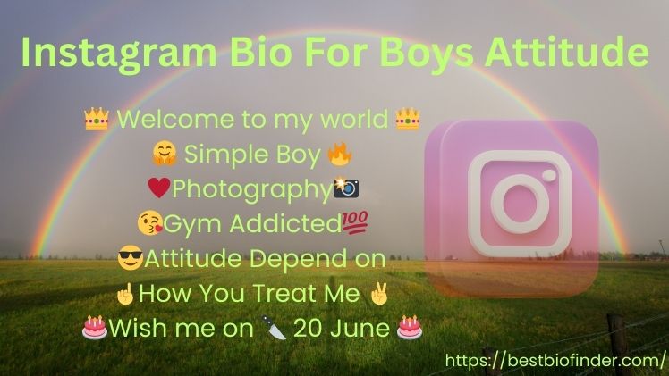 Instagram Bio For Boys Attitude