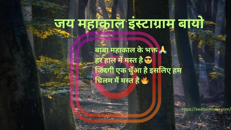 जय महाकाल इंस्टाग्राम बायो